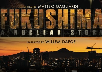 Fukushima : a nuclear story