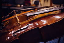 Violoncelli d'autore