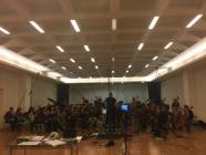 L'Orchestra Affinis Consort sotto la direzione di Alessandro Molinari 1
