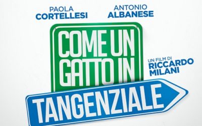 Come un gatto in tangenziale