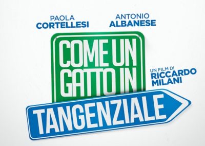 Come un gatto in tangenziale